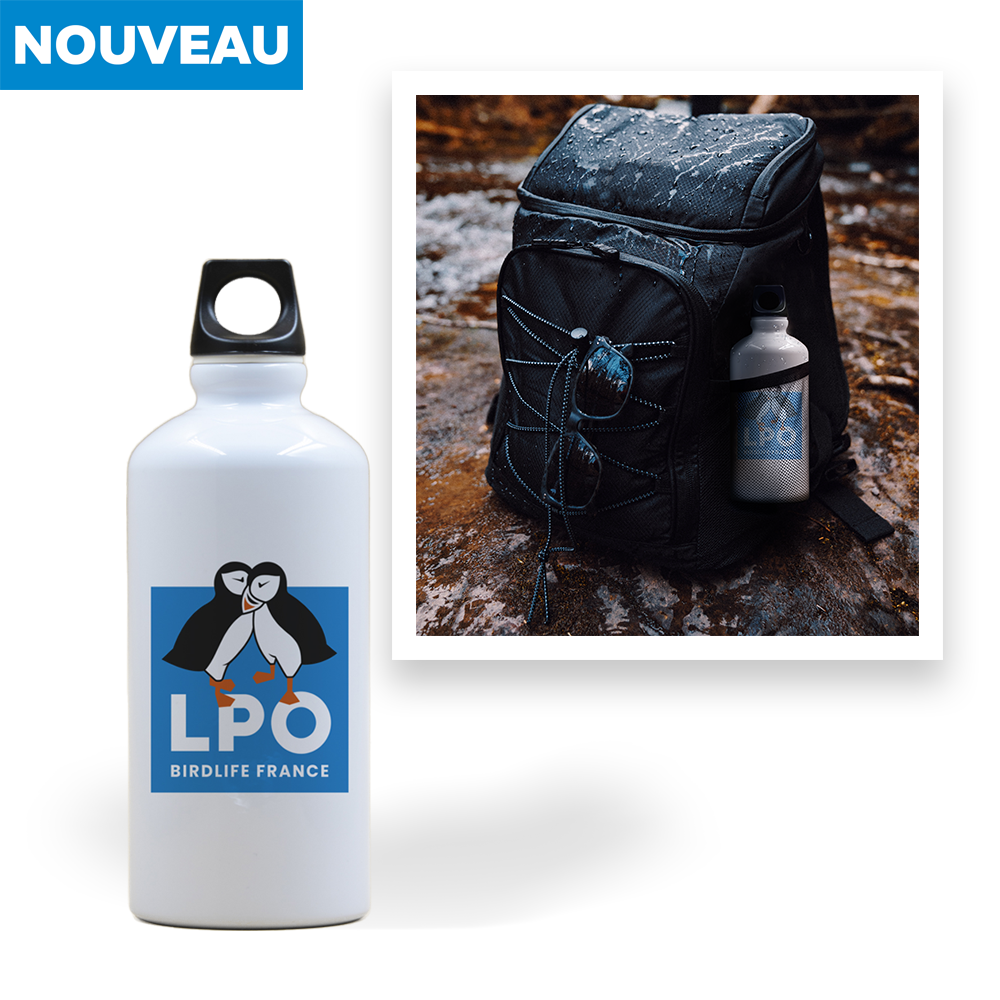 Gourde LPO Officielle 60 cl